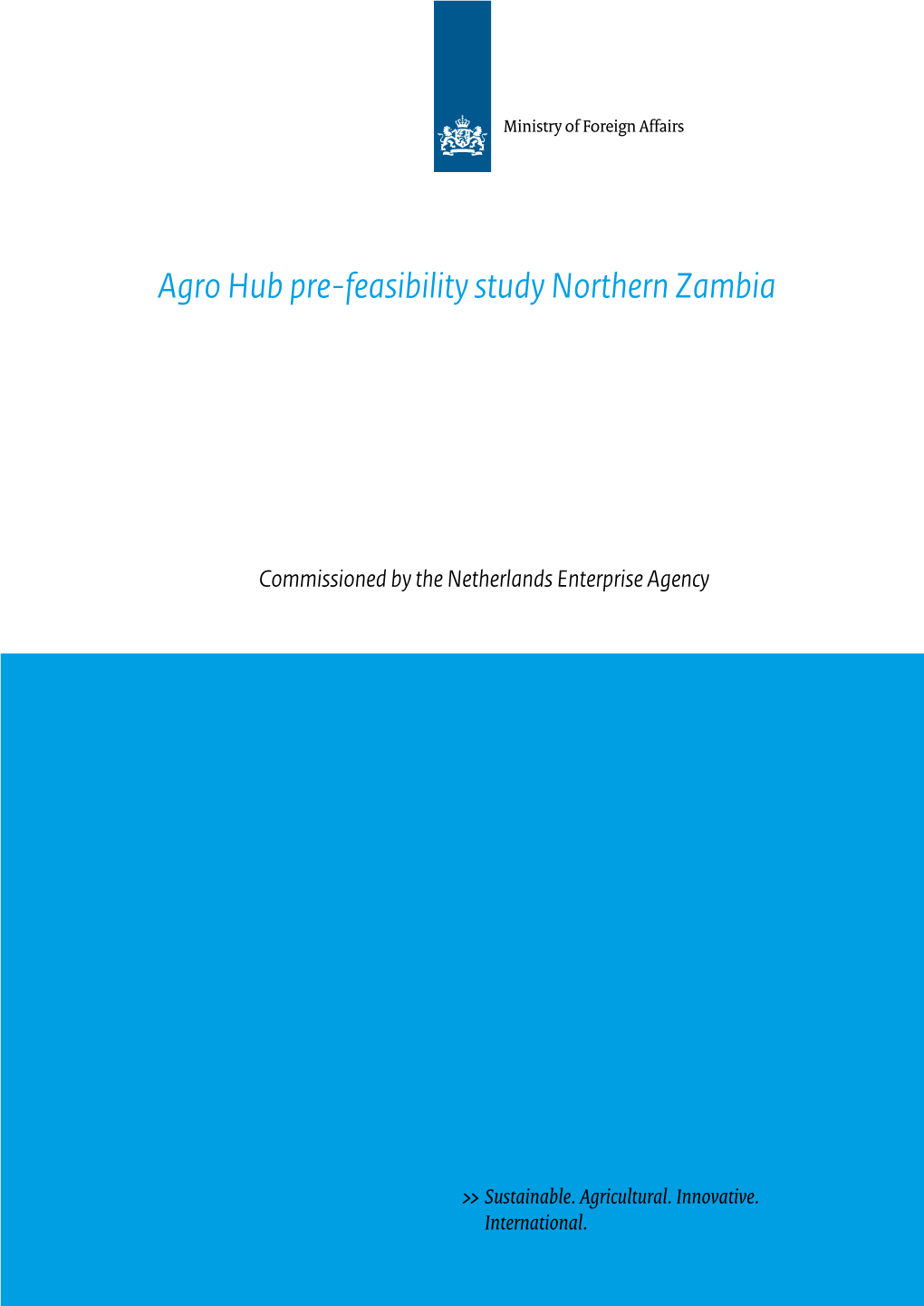 Agro Hub Pre-Feasibility Study Northern Zambia