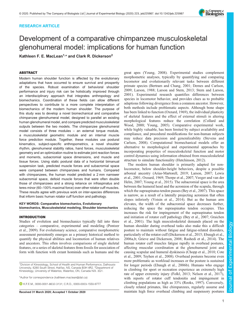 Development of a Comparative Chimpanzee Musculoskeletal Glenohumeral Model: Implications for Human Function Kathleen F