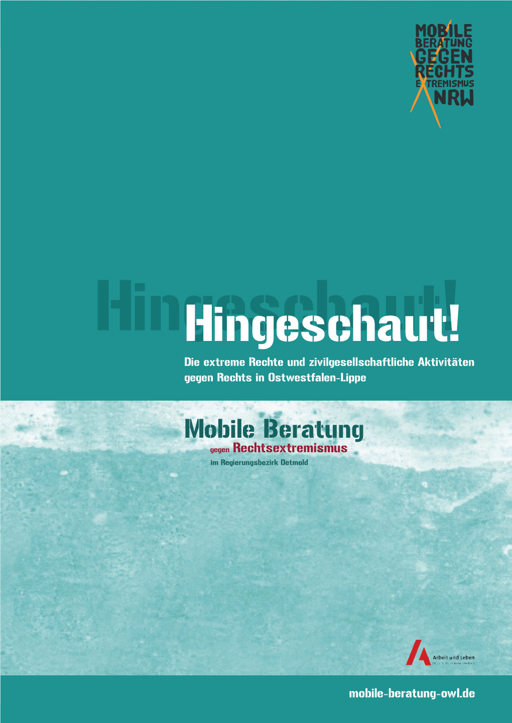 Hingeschaut!Hingeschaut! Die Extreme Rechte Und Zivilgesellschaftliche Aktivitäten Gegen Rechts in Ostwestfalen-Lippe