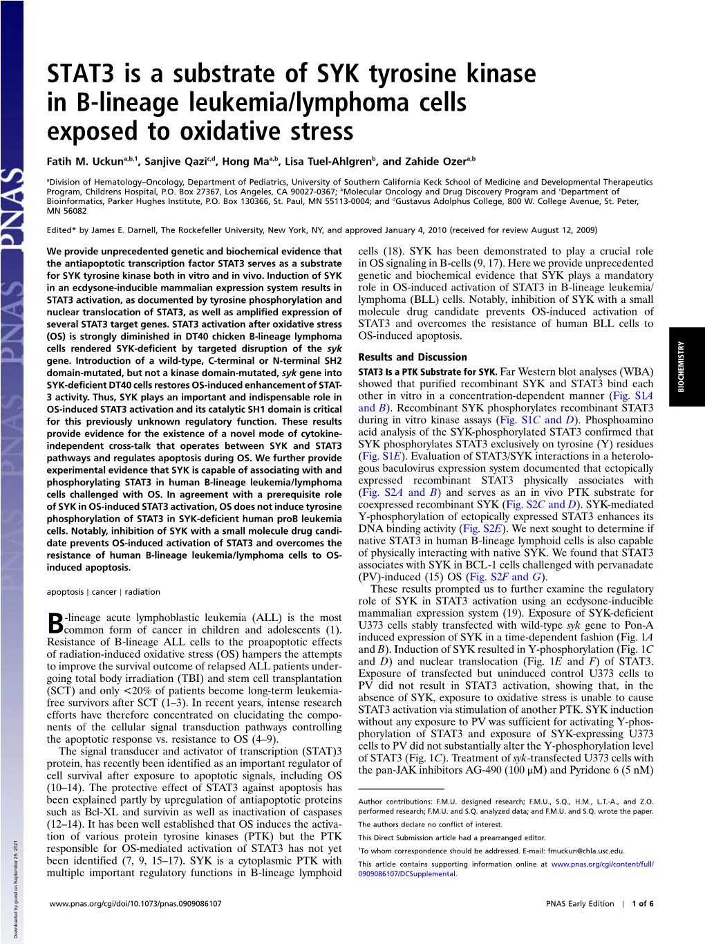 STAT3 Is a Substrate of SYK Tyrosine Kinase in B-Lineage Leukemia/Lymphoma Cells Exposed to Oxidative Stress