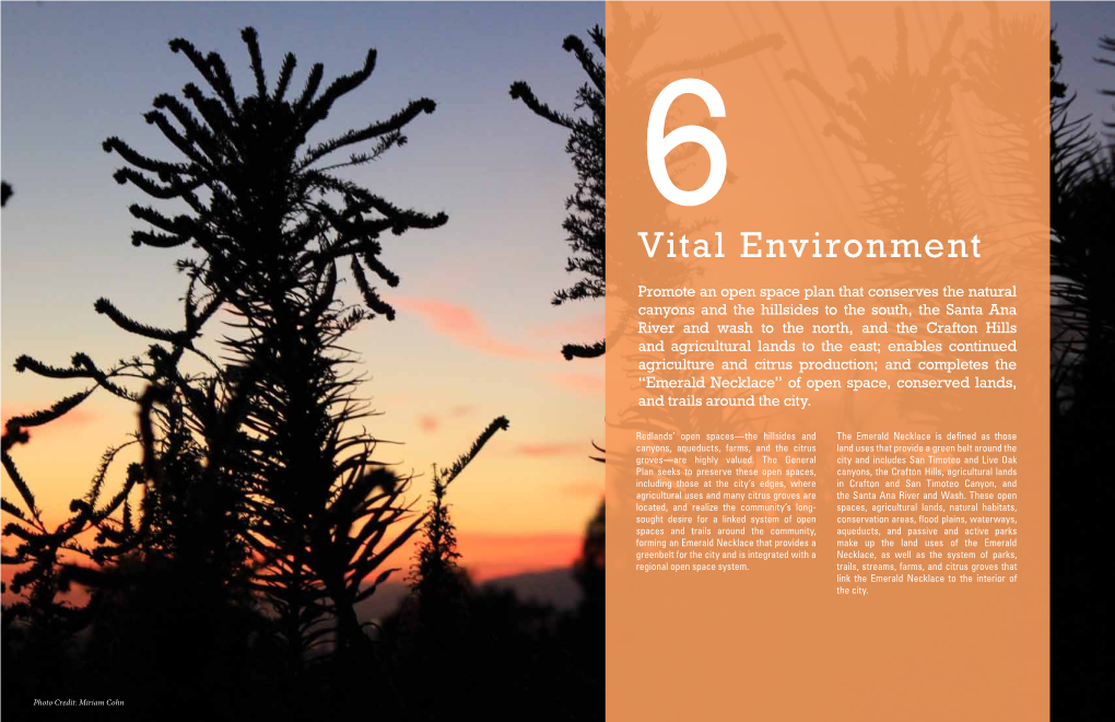 Vital Environment