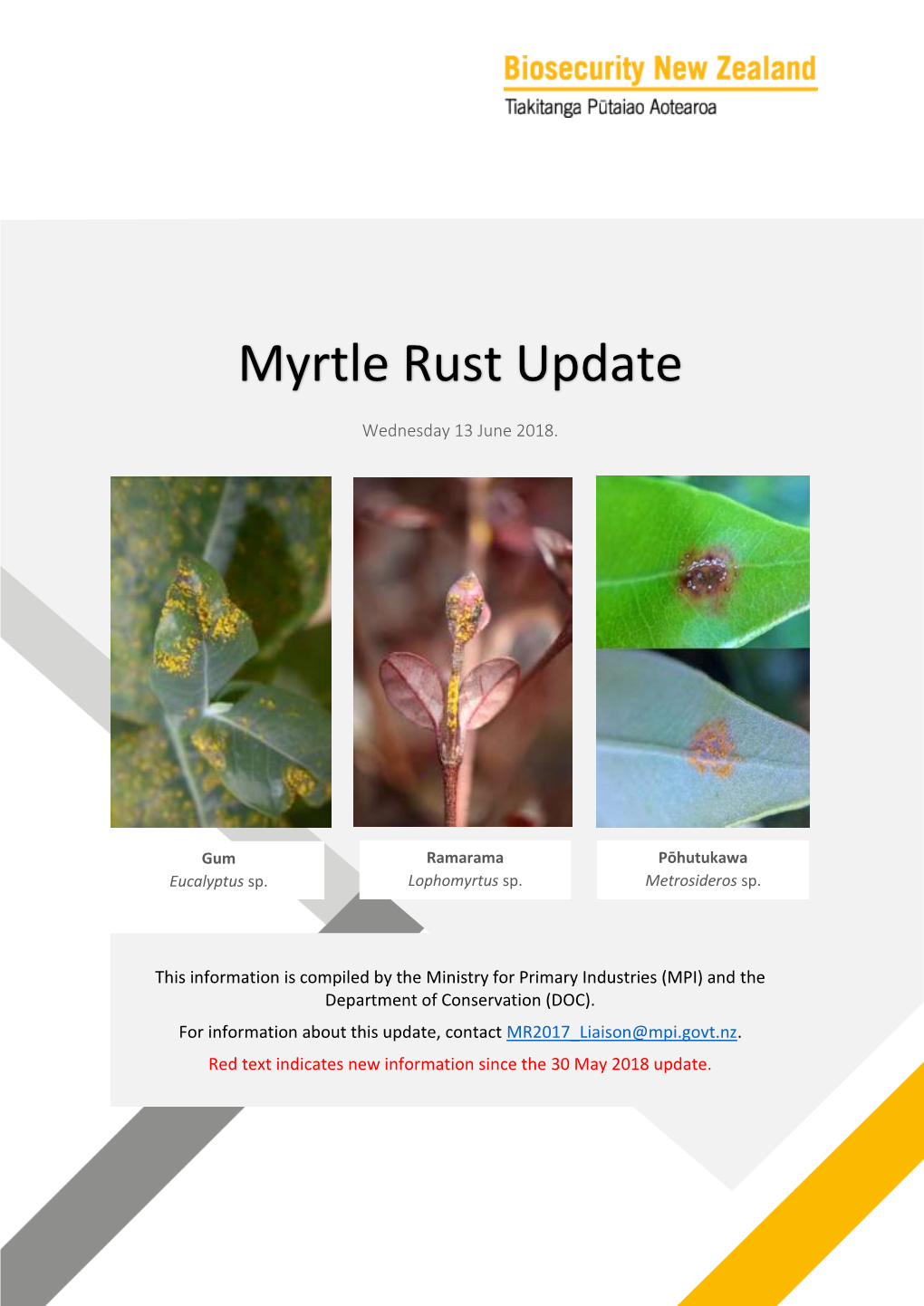 Myrtle Rust Update