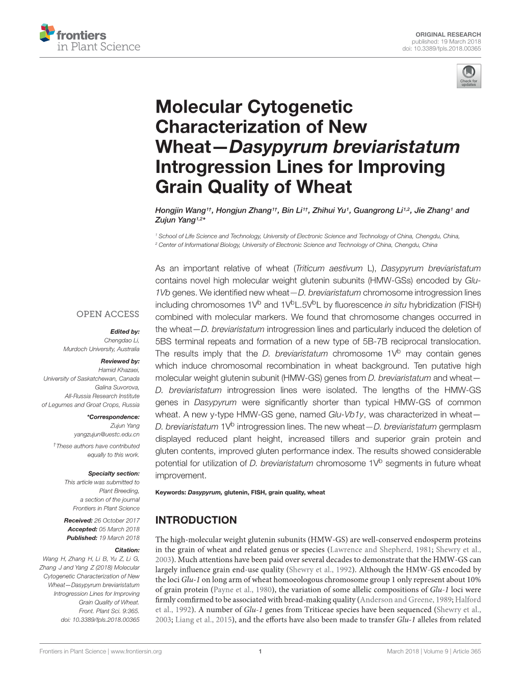 Dasypyrum Breviaristatum Introgression Lines for Improving Grain Quality of Wheat