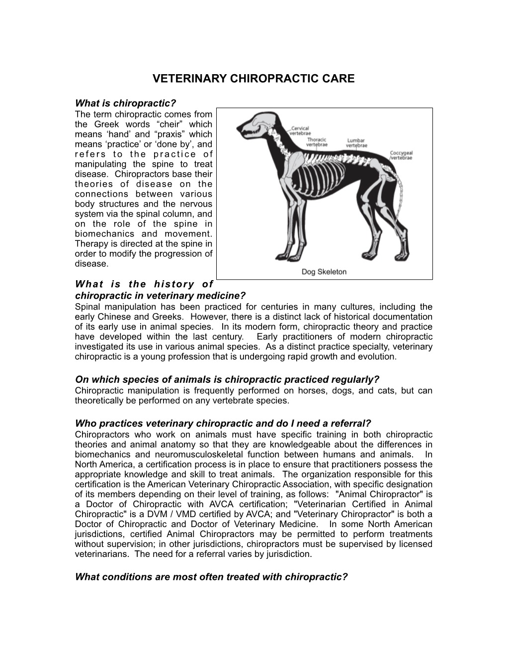 Veterinary Chiropractic Care
