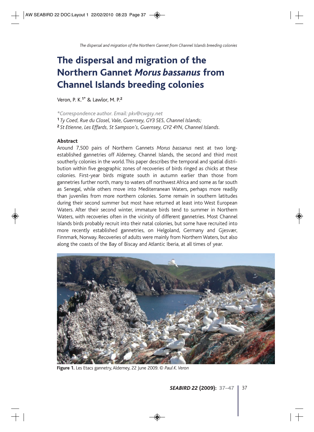 The Dispersal and Migration of the Northern Gannet Morus Bassanus from Channel Islands Breeding Colonies