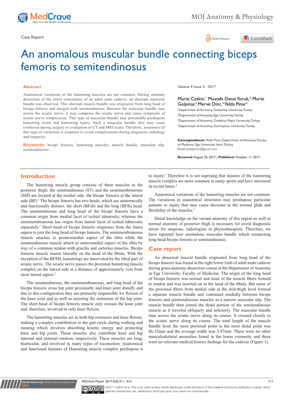 An Anomalous Muscular Bundle Connecting Biceps Femoris to Semitendinosus