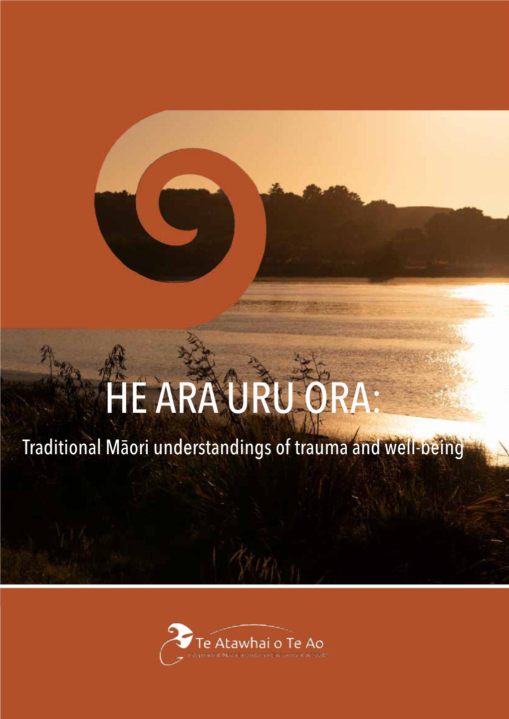 HE ARA URU ORA: Traditional Māori Understandings of Trauma and Well-Being ACKNOWLEDGEMENT