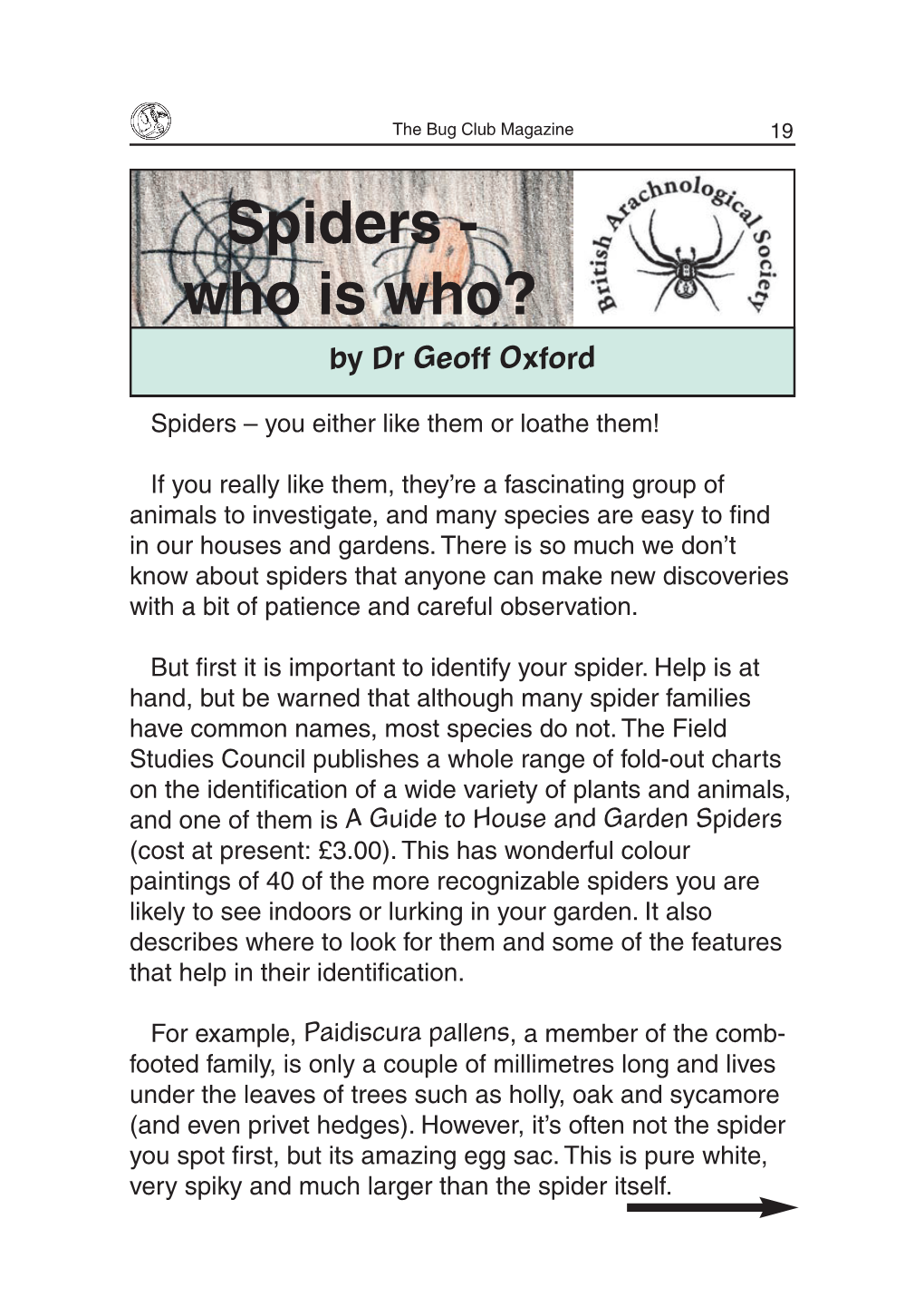 Spiders - Who Is Who? by Dr Geoff Oxford