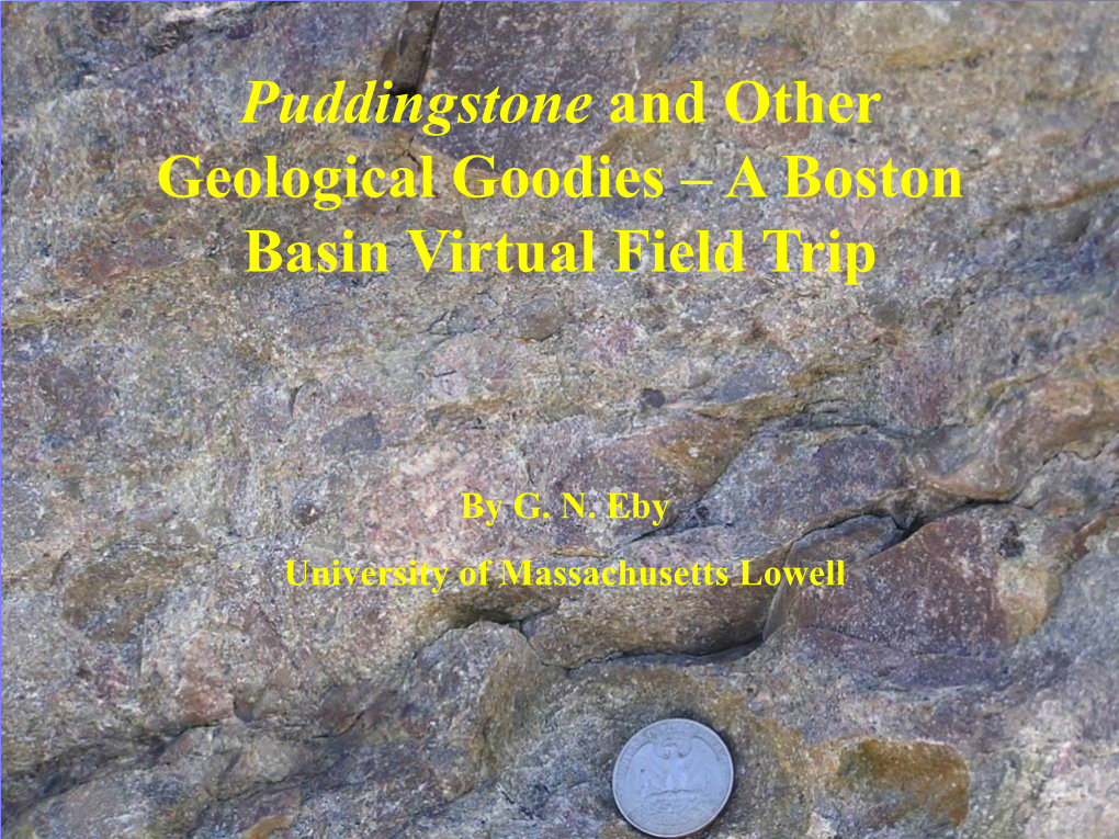 Puddingstone and Other Geological Goodies – a Boston Basin Virtual Field Trip
