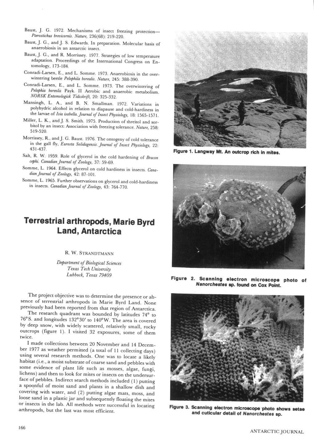 Terrestrial Arthropods, Marie Byrd Land, Antarctica