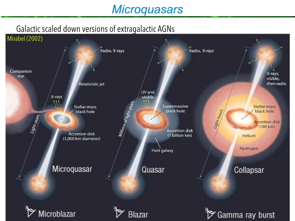 Microquasars