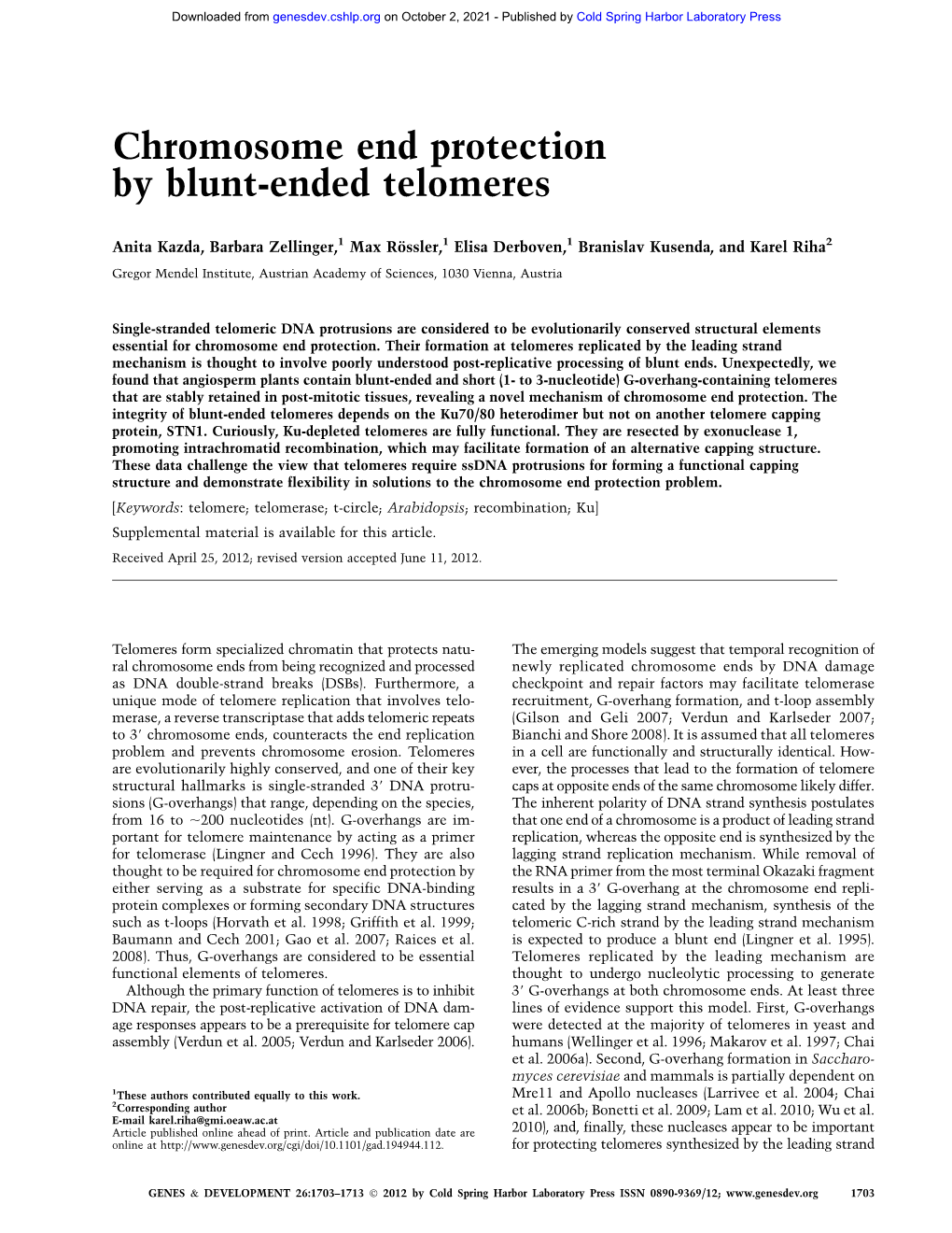 Chromosome End Protection by Blunt-Ended Telomeres