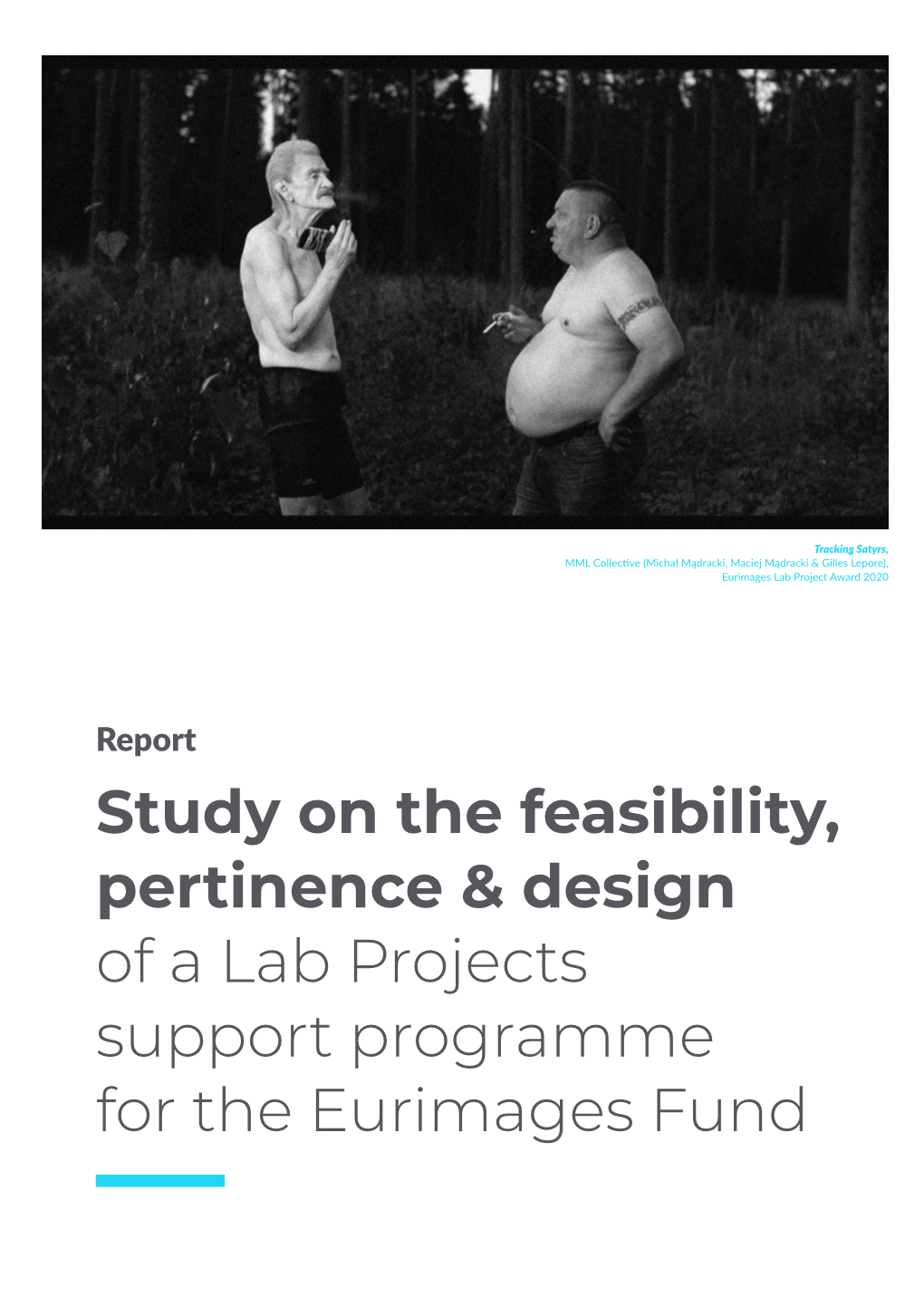 Study on the Feasibility, Pertinence & Design of a Lab Projects Support