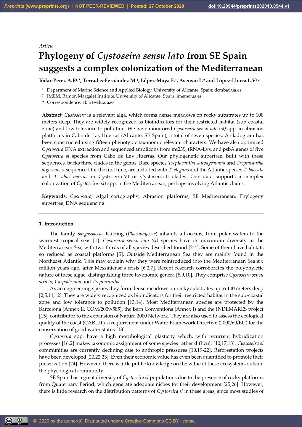 Phylogeny of Cystoseira Sensu Lato from SE Spain Suggests a Complex Colonization of the Mediterranean