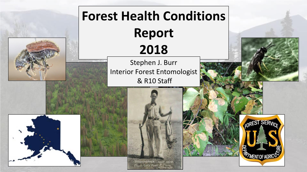 Forest Health Conditions Report 2018 Stephen J