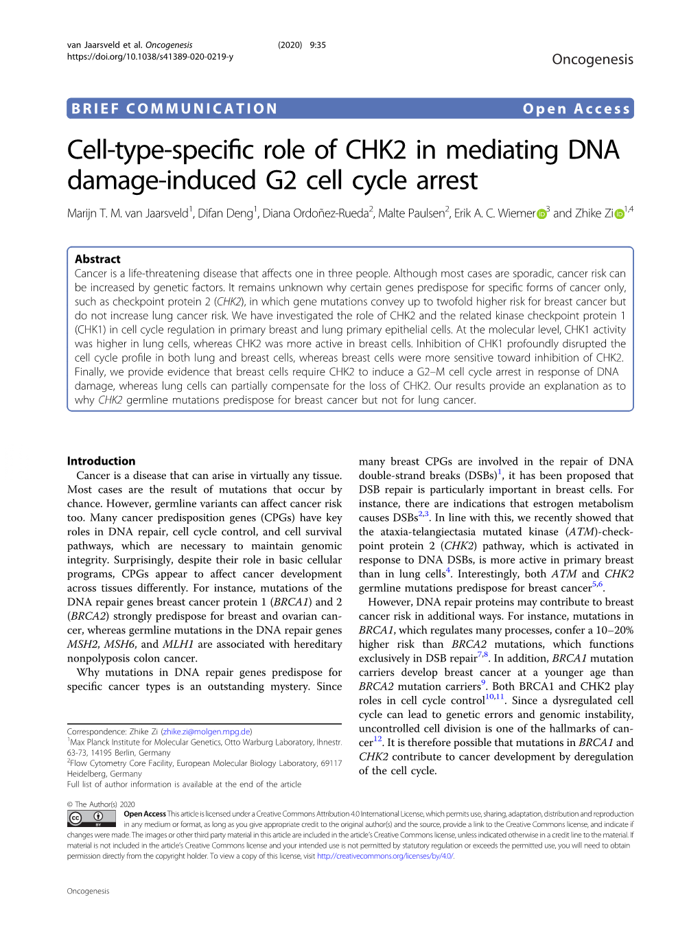 Cell-Type-Specific Role of CHK2 in Mediating DNA Damage-Induced