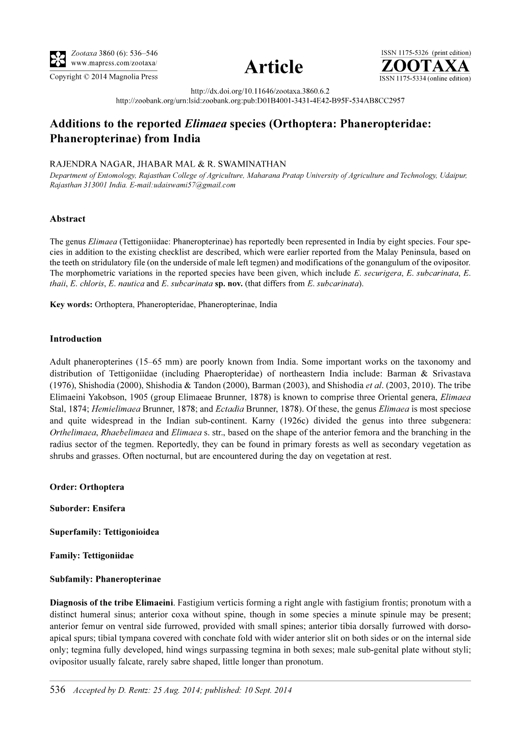 Orthoptera: Phaneropteridae: Phaneropterinae) from India