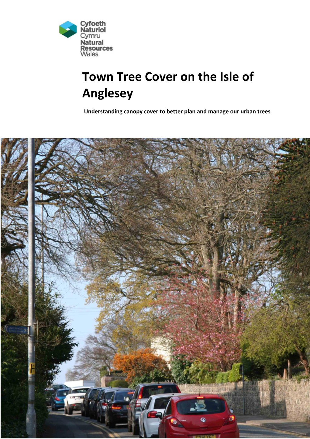 Town Tree Cover on the Isle of Anglesey