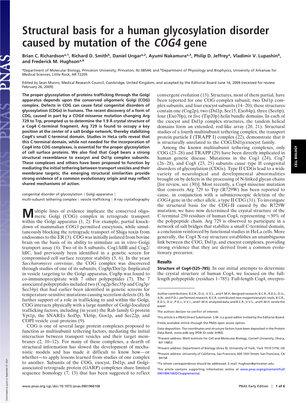 Structural Basis for a Human Glycosylation Disorder Caused by Mutation of the COG4 Gene