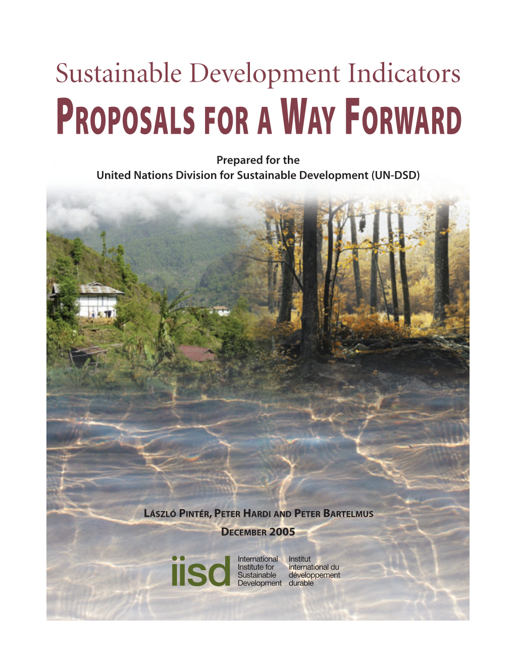 Sustainable Development Indicators: Proposals for the Way Forward