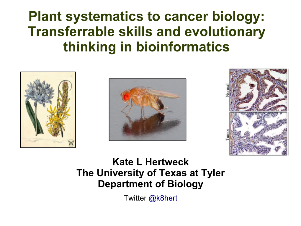Plant Systematics to Cancer Biology: Transferrable Skills and Evolutionary Thinking in Bioinformatics