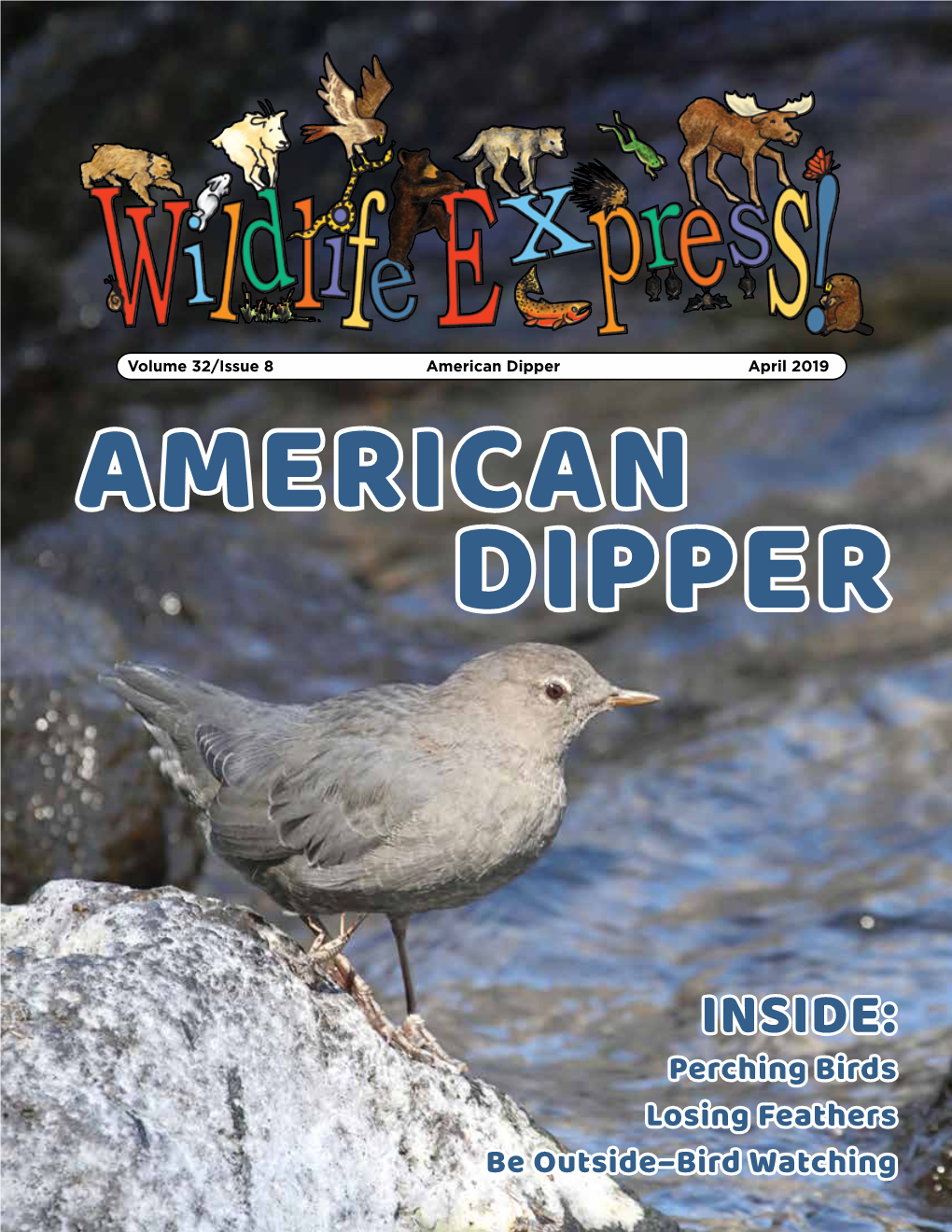 American Dipper April 2019 AMERICAN DIPPER