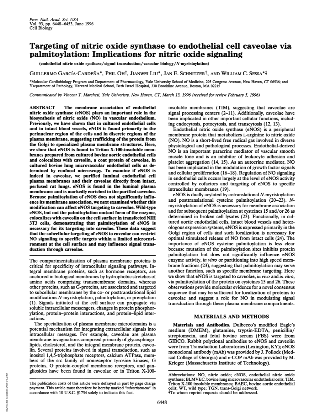 Palmitoylation: Implications for Nitric Oxide Signaling