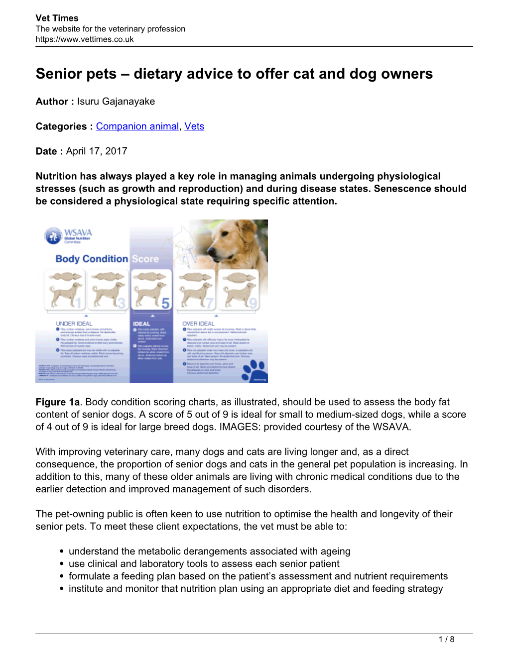 Senior Pets – Dietary Advice to Offer Cat and Dog Owners