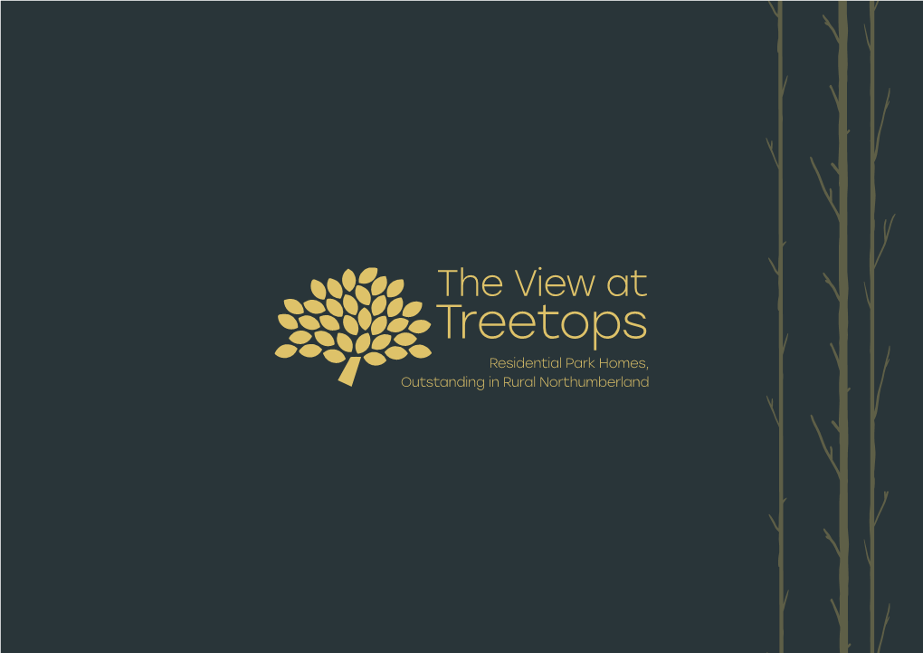 Treetops Residential Park Homes, Outstanding in Rural Northumberland