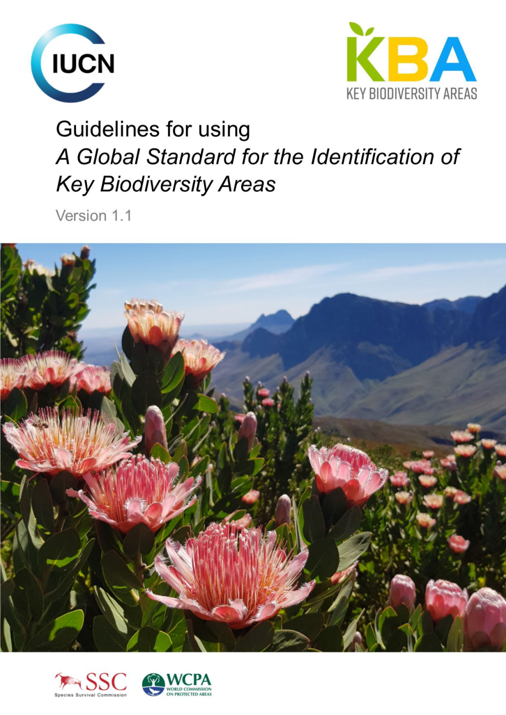 Guidelines for Using a Global Standard for the Identification of Key Biodiversity Areas