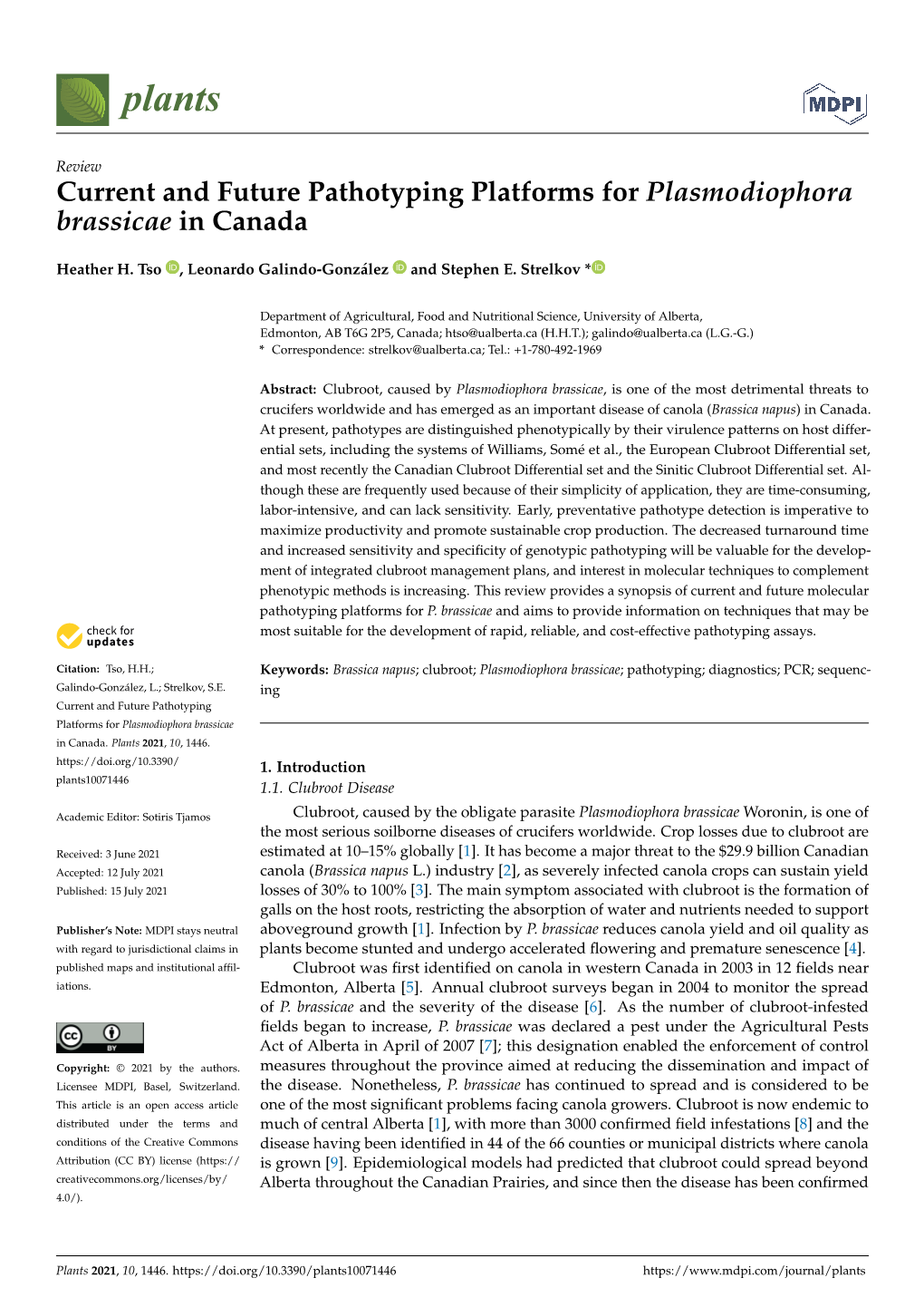 Current and Future Pathotyping Platforms for Plasmodiophora Brassicae in Canada