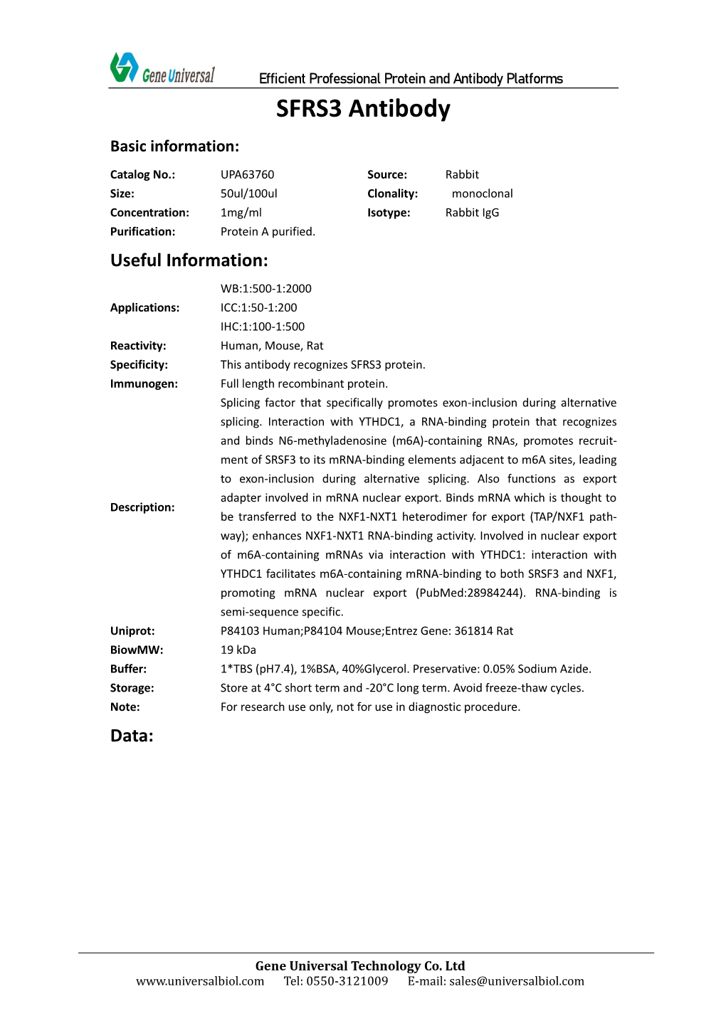 SFRS3 Antibody