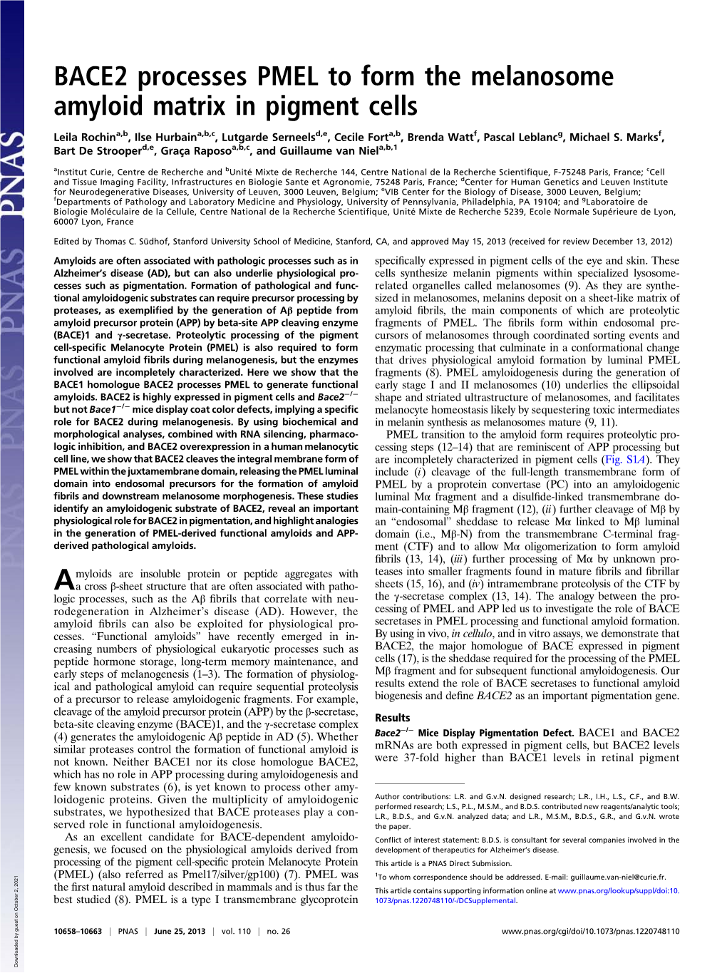 BACE2 Processes PMEL to Form the Melanosome Amyloid Matrix in Pigment Cells