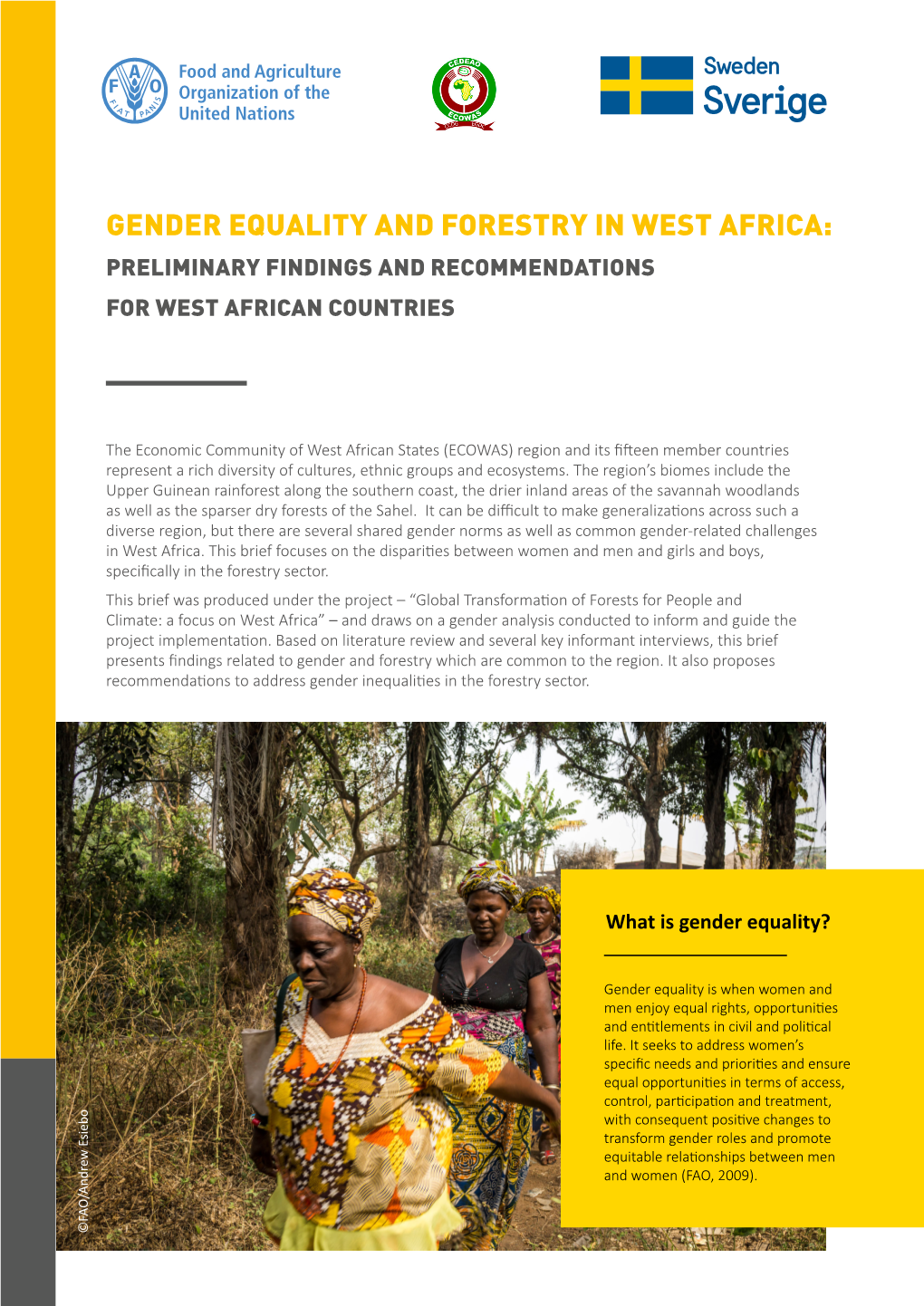 Gender Equality and Forestry in West Africa: Preliminary Findings and Recommendations for West African Countries
