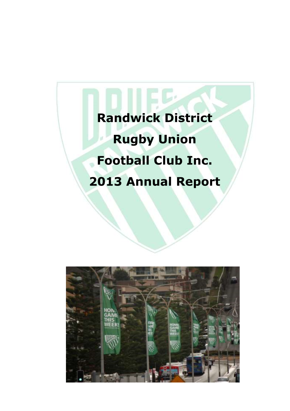 2013 Annual Report