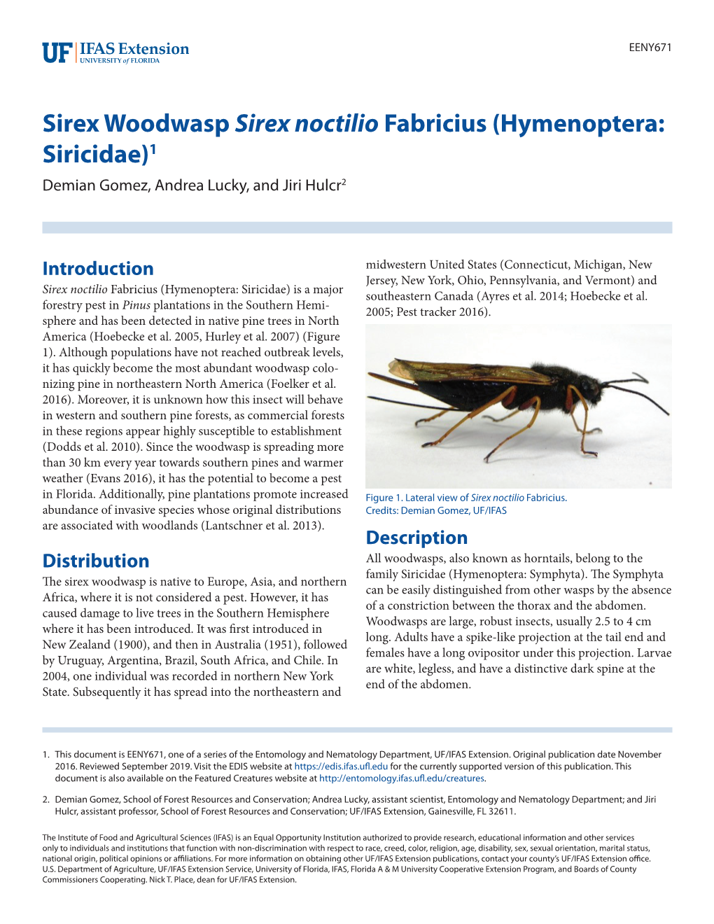Sirex Woodwasp Sirex Noctilio Fabricius (Hymenoptera: Siricidae)1 Demian Gomez, Andrea Lucky, and Jiri Hulcr2