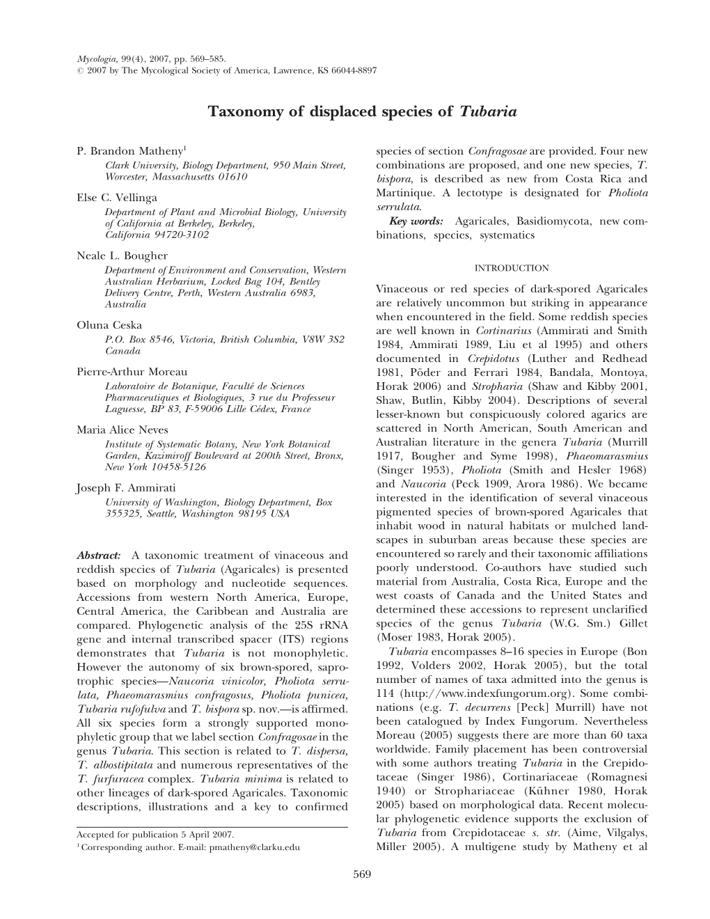 Taxonomy of Displaced Species of Tubaria