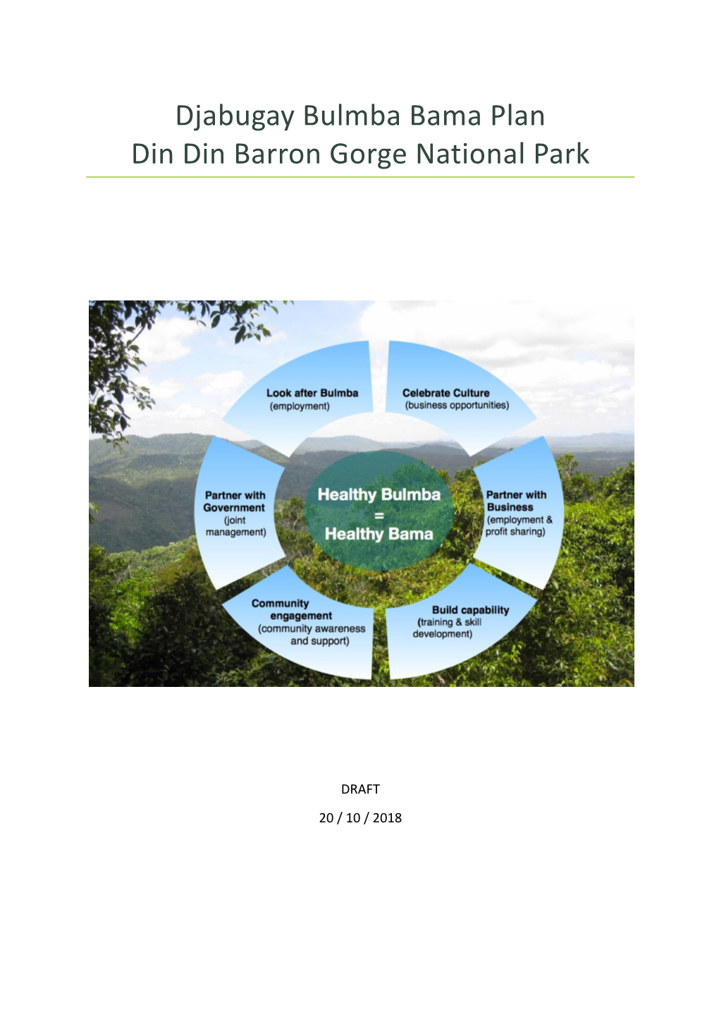 Djabugay Bulmba Bama Plan Din Din Barron Gorge National Park