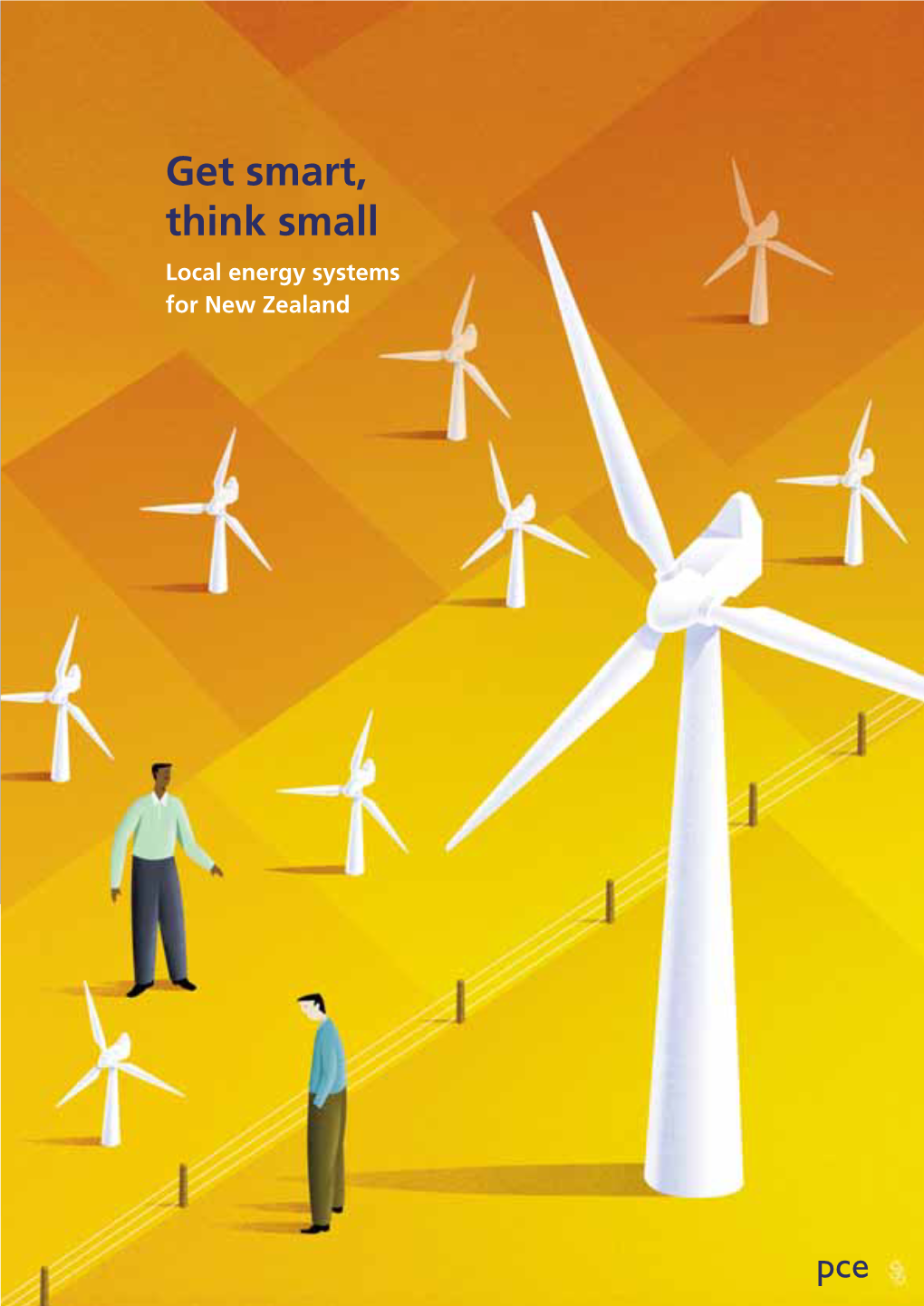 Get Smart, Think Small: Local Energy Systems for New Zealand