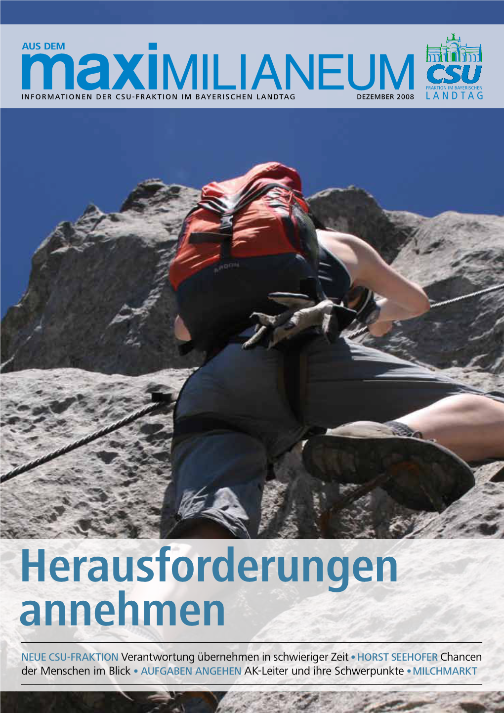 Herausforderungen Annehmen