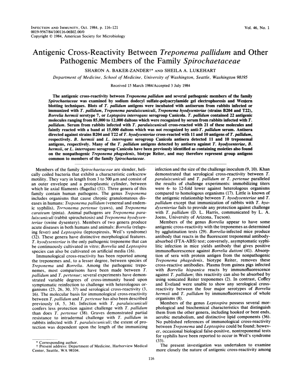 Antigenic Cross-Reactivity Between Treponema Pallidum and Other Pathogenic Members of the Family Spirochaetaceae SHARON A