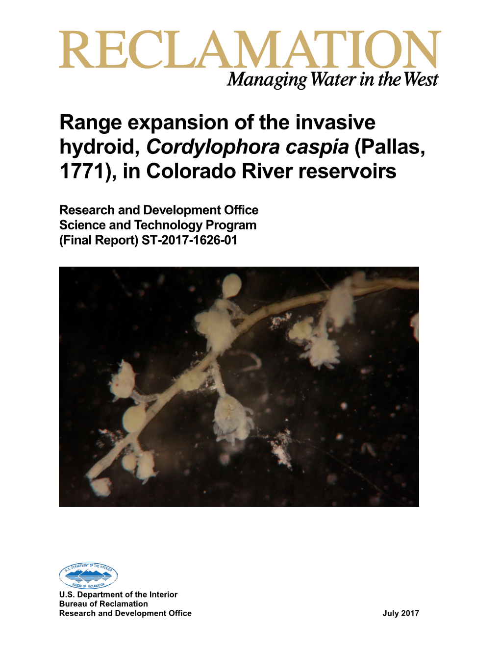 Range Expansion of the Invasive Hydroid, Cordylophora Caspia (Pallas, 1771), in Colorado River Reservoirs