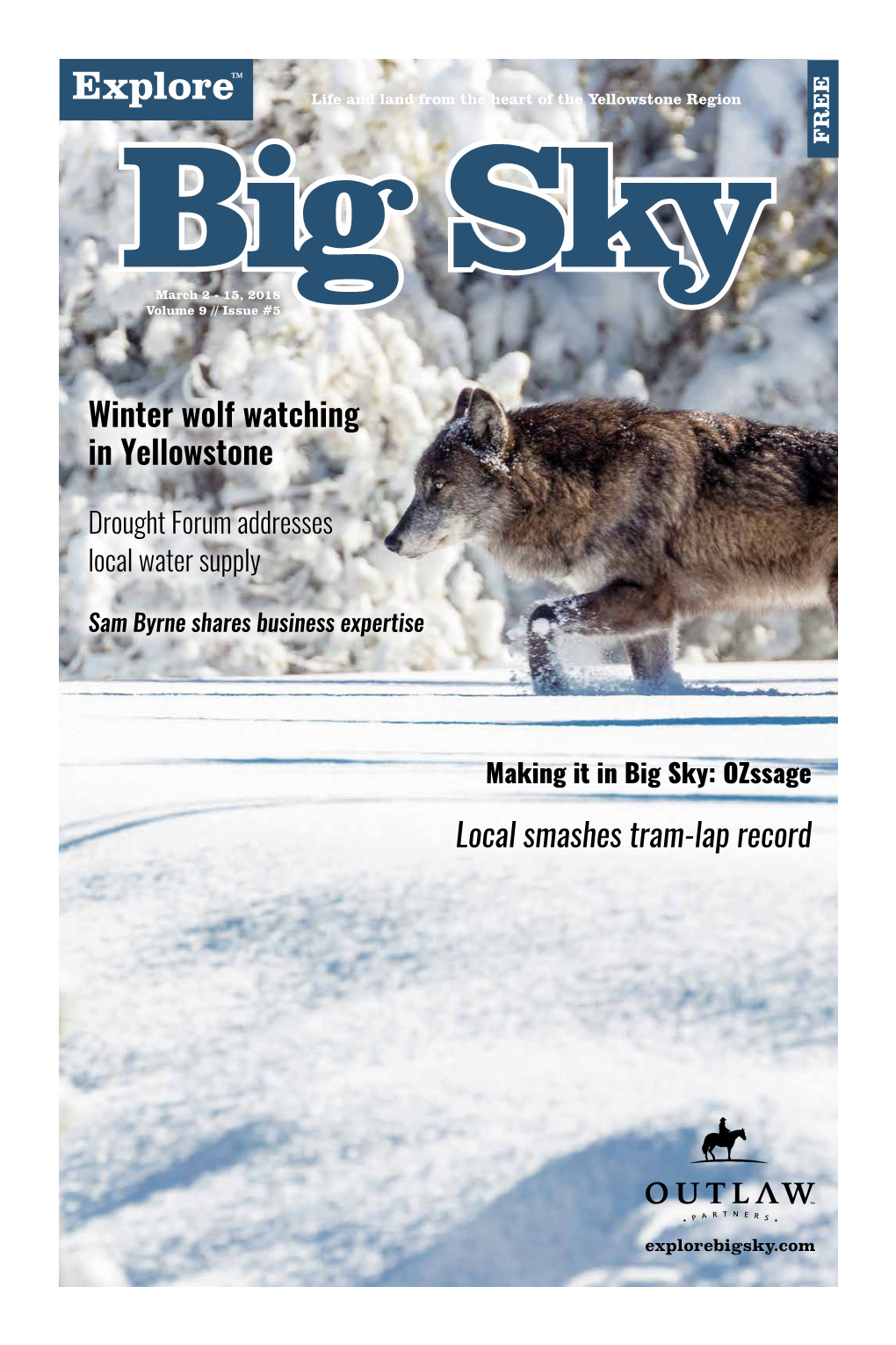 Winter Wolf Watching in Yellowstone