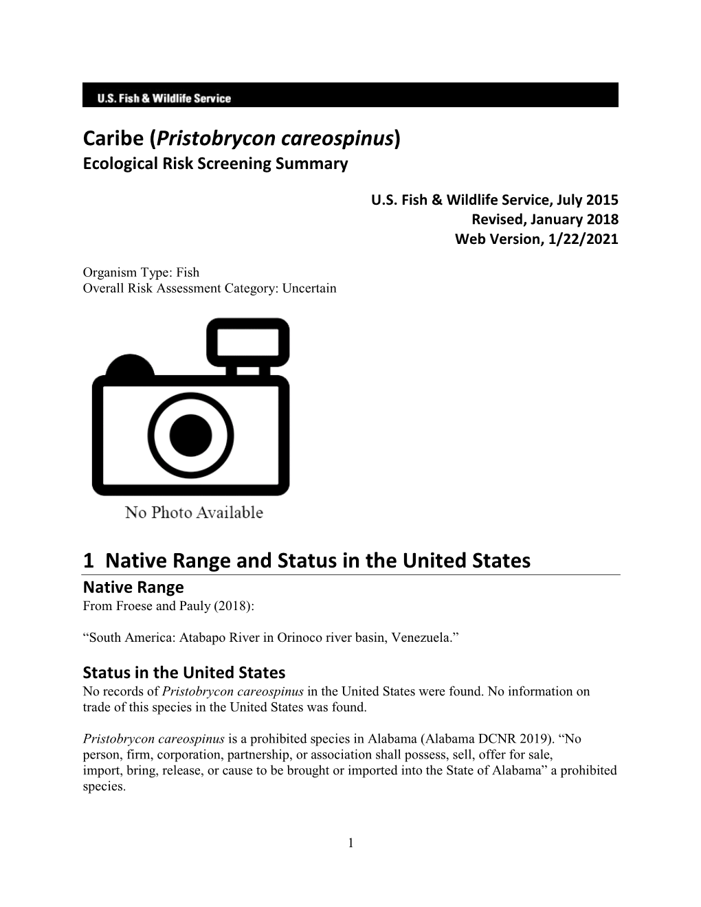 Pristobrycon Careospinus) Ecological Risk Screening Summary