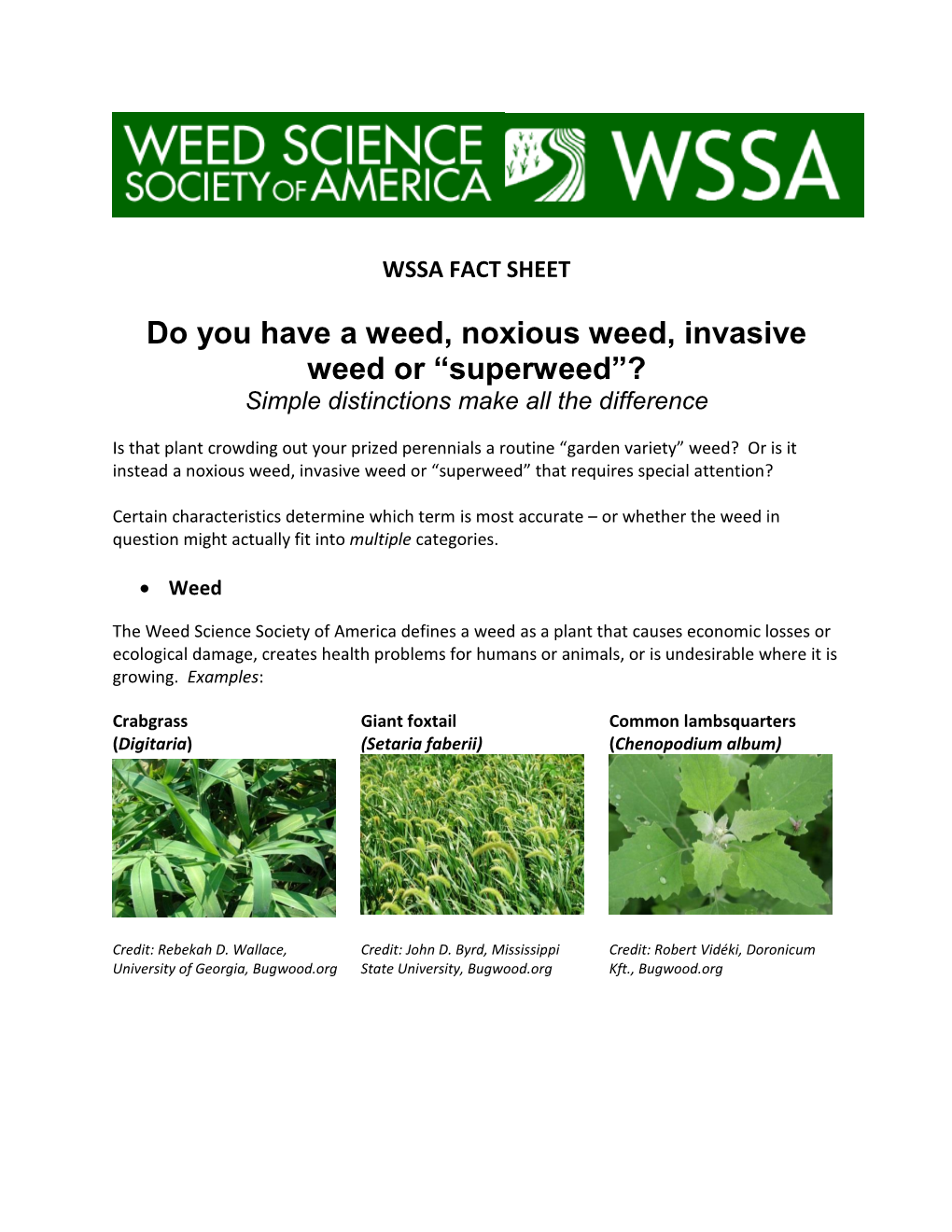 Do You Have a Weed, Noxious Weed, Invasive Weed Or “Superweed”? Simple Distinctions Make All the Difference
