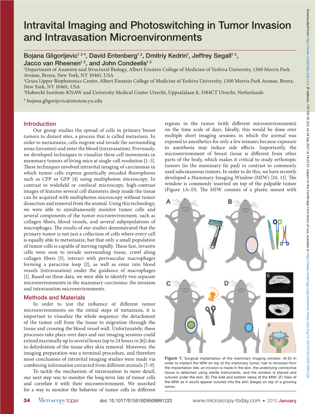 Intravital Imaging and Photoswitching in Tumor Invasion and Intravasation Microenvironments