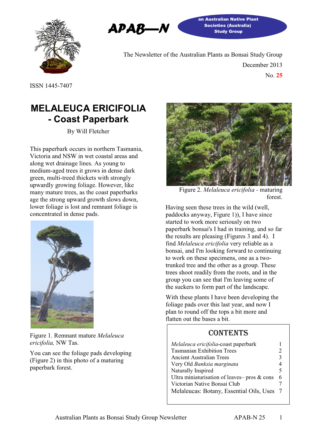 MELALEUCA ERICIFOLIA - Coast Paperbark by Will Fletcher