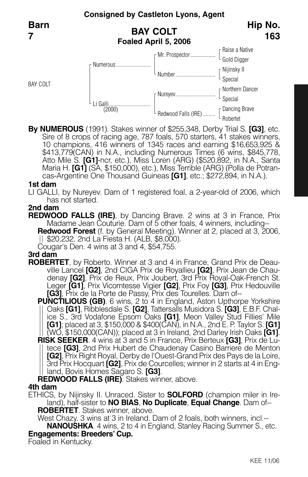 BAY COLT Barn 7 Hip No