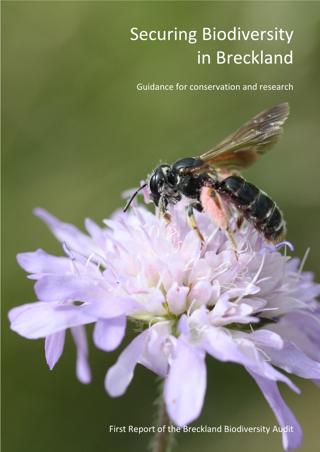 SSSI's in the Breckland Natural Area