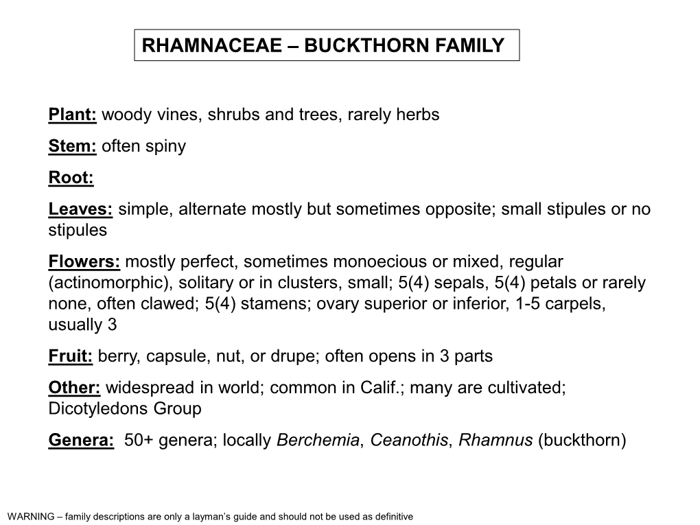 Rhamnaceae – Buckthorn Family